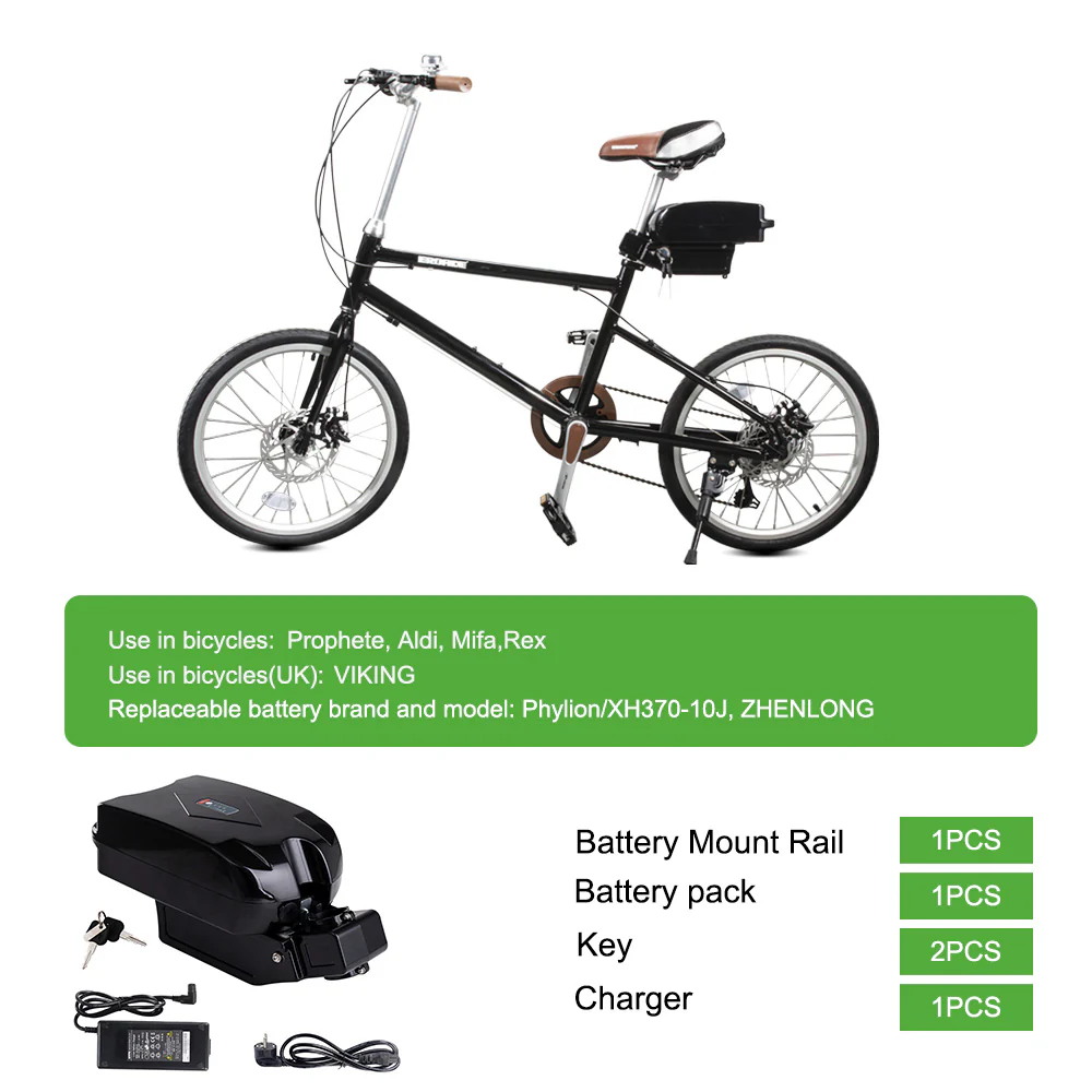 24V/36V10Ah Frog Li-ion E-Bike Seat Tube Battery - Image 7